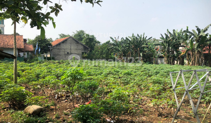 Kavling Strategis Dekat Kampus Di Cifor Situ Gede Bogor Kavling Strategis Dekat Kampus Di Cifor Situ Gede Bogor