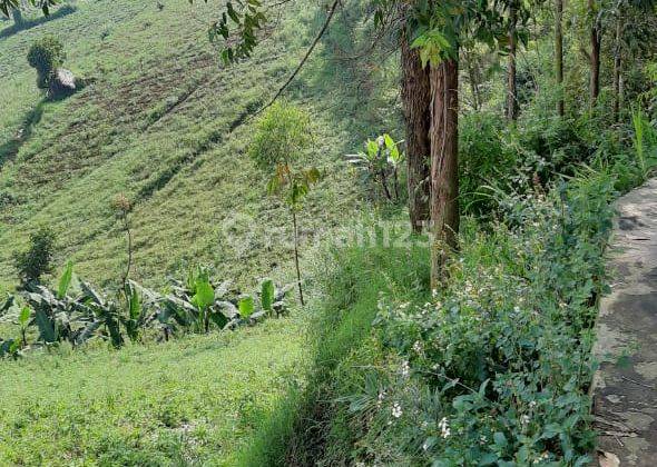 Tanah Di Dekat Resor Dago Pakar, Cimenyan View Lepas 2