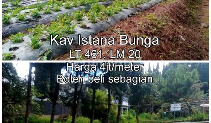 Land In Parongpong Villa Istana Bunga