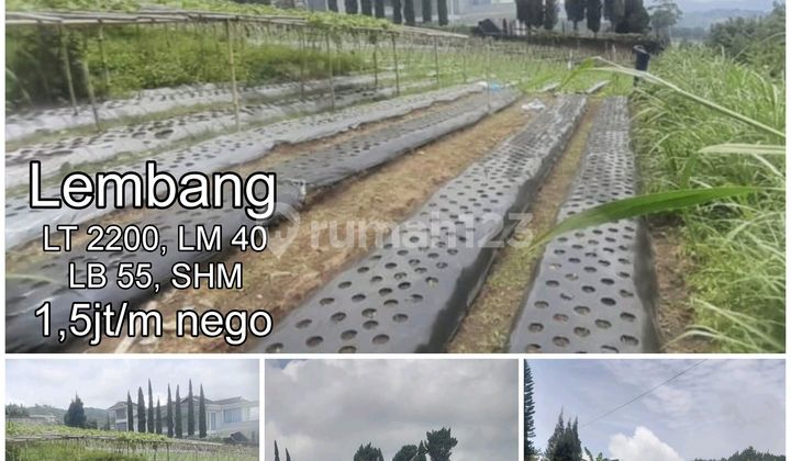 How many villas are already in the Lembang Area Asri land? How many villas are already in the Lembang Area Asri land?