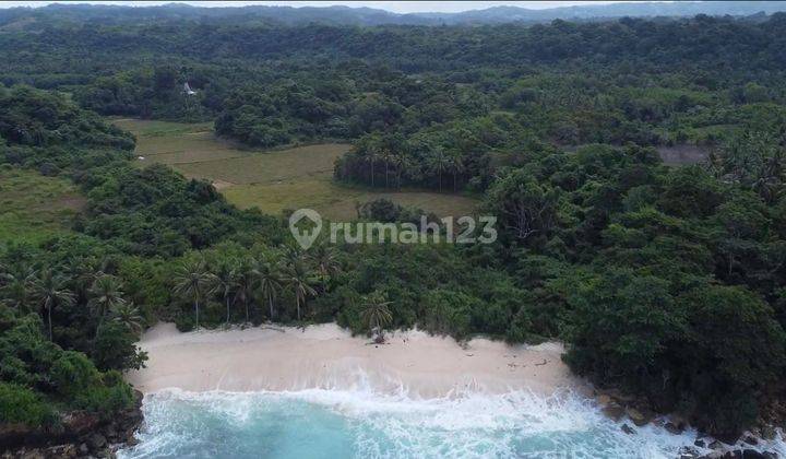 TANAH CANTIK BEACH FRONT SUMBA BARAT 2