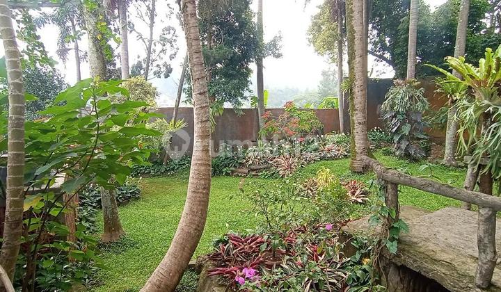 Rumah Asri di Kawasan Elite Dago 2