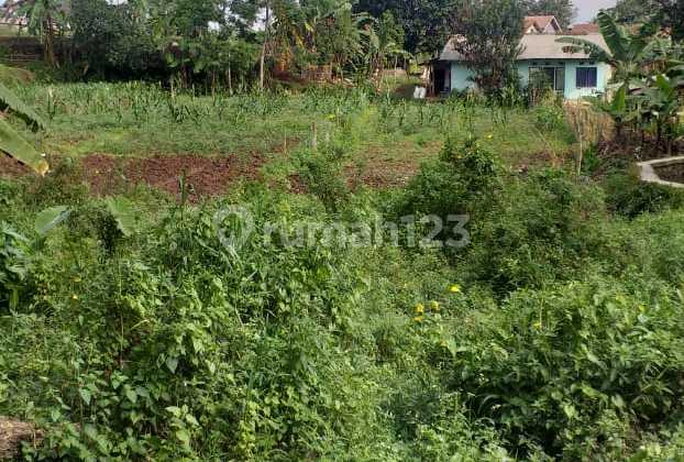 KAVLING TANAH DI KOTA SUKABUMI. MURAH. KAVLING TANAH DI KOTA SUKABUMI. MURAH.
