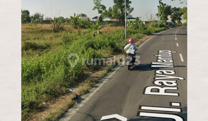 DIJUAL TANAH RAYA MANTUP LAMONGAN