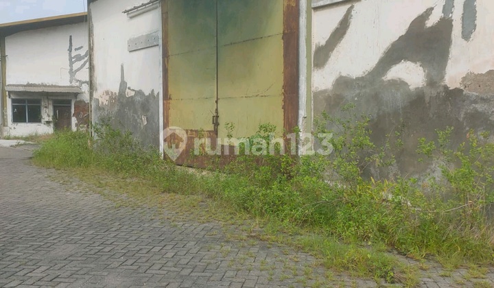 Warehouse for Rent Tambak Langon 1250 M2 Near Margomulyo Romokalisari Warehouse for Rent Tambak Langon 1250 M2 Near Margomulyo Romokalisari