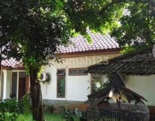 Jual Cepat Rumah Luas Dg Halaman Luas Dalam Komplek Di Pejaten Timur Jakarta Selatan