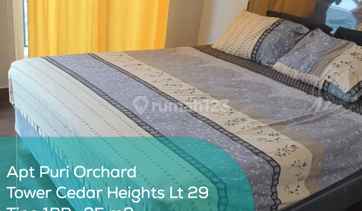 Apartement Puri Orchard Tower Cedar Heights Wing A Lt 29, 1BR, Full Furnished 1