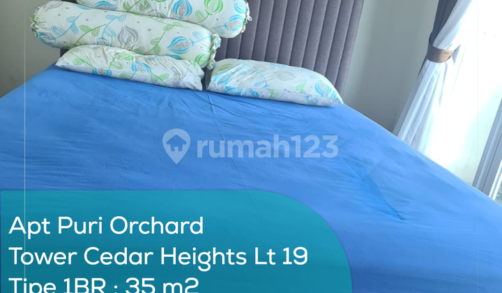 Apartement Puri Orchard Tower Cedar Heights Wing A Lt 19, 1BR, Semi Furnished