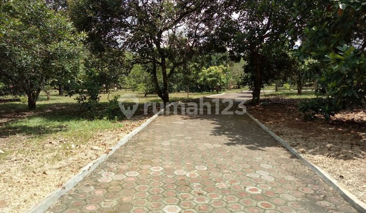 Dijual Lahan di Tanjungsari, Bogor Dijual Lahan di Tanjungsari, Bogor