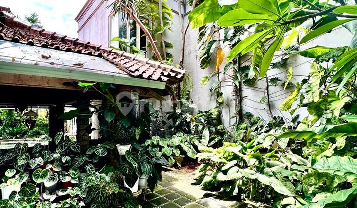 Luxury House di Jl kair Cilandak Jakarta Selatan 