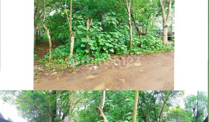 Tanah cocok untuk Gudang di Kadu Curug Tangerang 1