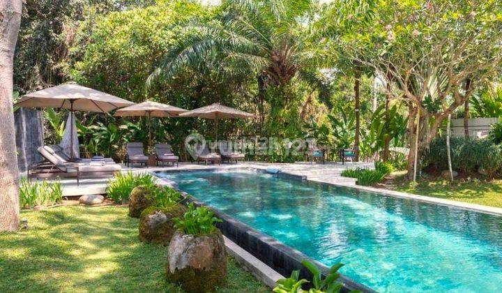 Luxury villa with Rice field  view Near The Beach  1