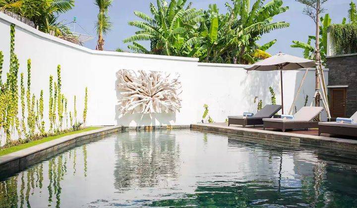 Beautiful Modern Villa on Canggu Bali  2