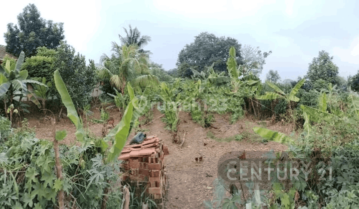 Tanah Drangong Akses Tol Nego Sampai Deal 2