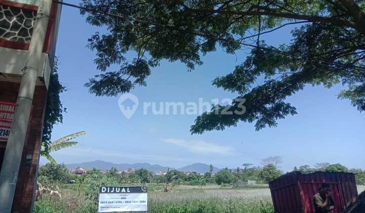 Tanah Jl. Lingkar Km 1,8 Sedang Turun Harga Tanah Jl. Lingkar Km 1,8 Sedang Turun Harga