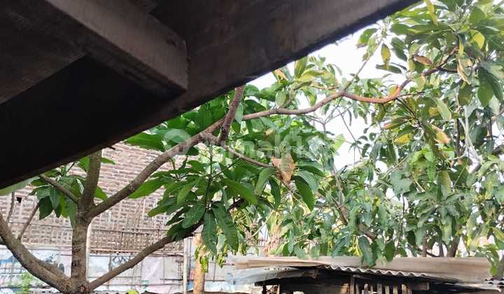 Tanah KavlingHarga Super Miring Wanasaba Tanah KavlingHarga Super Miring Wanasaba