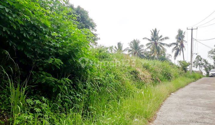 Tanah Strategis Nempel Jalan Waringinkurung 3