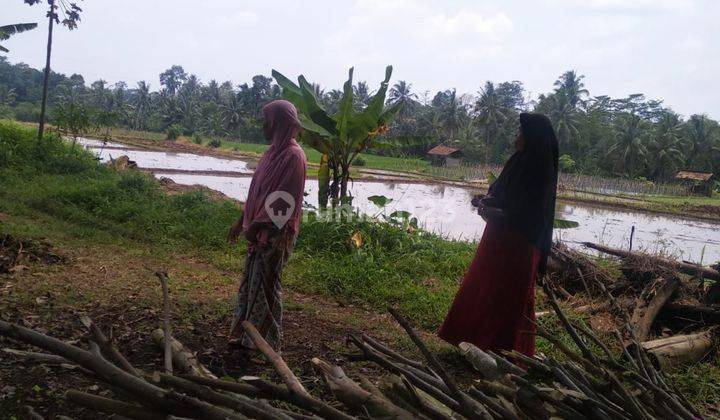 Tanah Oke Baros Shm Dekat Sekolah 2