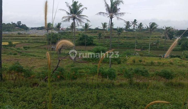 Tanah Oke Jalan Raya Lingkar Selatan Km 4 6