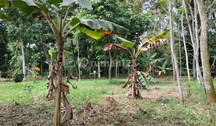 Tanah Gunung Sari Dekat Smpn 2 Taktakan Nego Sampai Deal 2