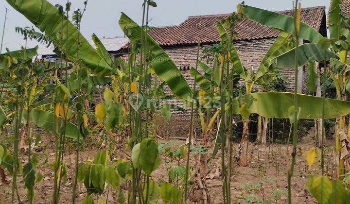 Tanah Belakang Kampus Unsera Akses Tol