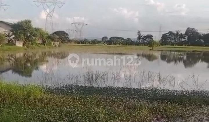 Tanah Strategis Karang Tengah Panggungrawi