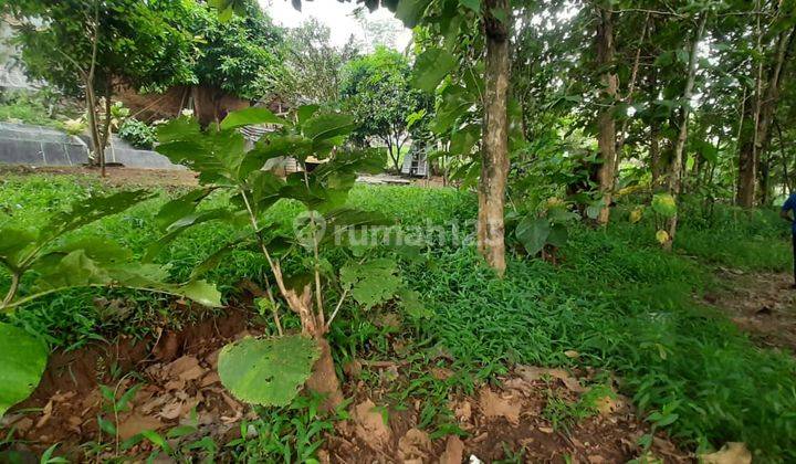 Tanah Kavling Temugiring Ciwandan Nego Sampai Deal 2