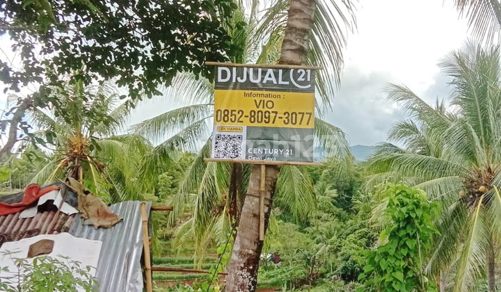 Tanah Cikerai Harga Miring Nego Sampai Deal