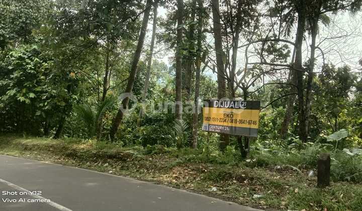 3 Hectares of Garden Land in Ciomas, Negotiable Until Deal