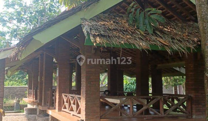 Tanah Plus Resto Jalan Utama Kembang Sari Anyer 2