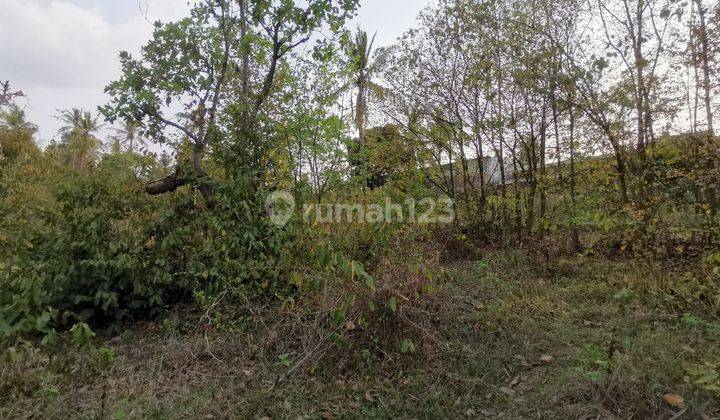 Tanah Lebak Denok Nego Sampai Deal 1