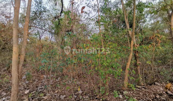 Tanah Lebak Denok Nego Sampai Deal 2