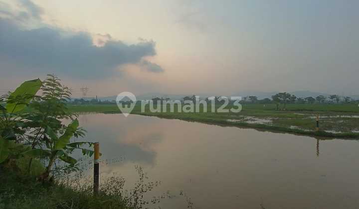 Tanah Jalan Utama Ds Kertasana Bojonegara 2