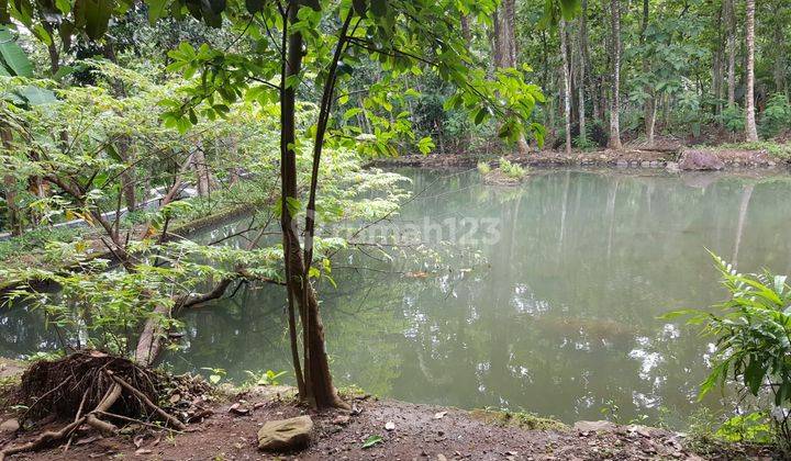 Lahan Cocok Untuk Agrowisata Padarincang 5