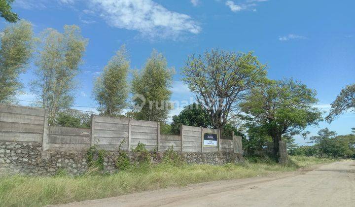 Tanah Plus Gunung Bojonegara Zona Industri 3