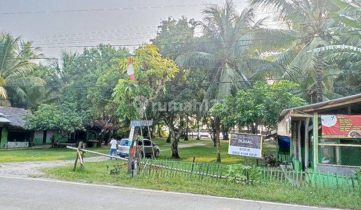 Tanah Pinggir Jalan Utama Nempel Pantai Bulakan Anyer 1