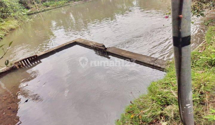 Tanah Plus Villa Ada Kolam Ikan Padarincang 2