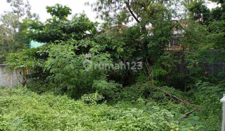 Tanah Harga Miring Cipocok Jaya Nego Sampai Deal 1