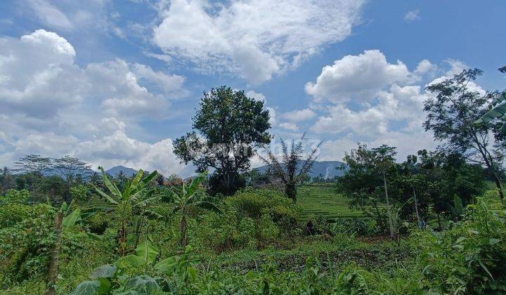 Tanah Kavling Bojong Sempur Bandung Sedang Bu 1