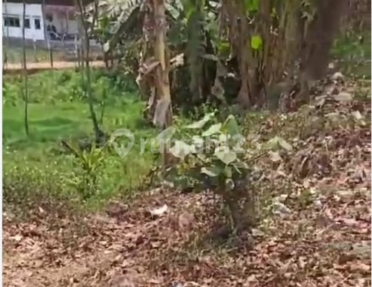 Tanah Jalan Provinsi Batang Jawa Tengah Nego 1