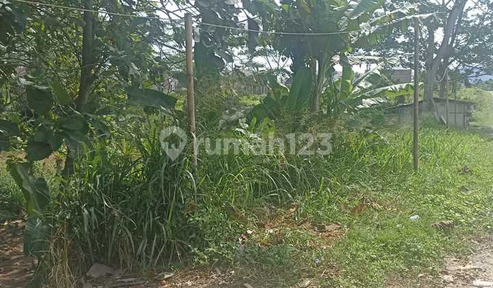 Strategic Land on Main Road Ciomas Near Untirta