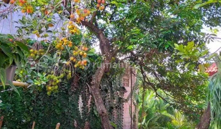 MURAHHH RUMAH CANTIK DAN ASRI 2 LANTAI SIAP HUNI DI PONDOK LABU, JAKARTA SELATAN 2