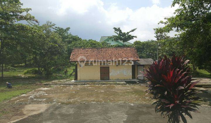 JUAL RUMAH + TANAH STRATEGIS LUAS 2,3HA DI RAYA PANDEGLANG, SERANG, BANTEN 6