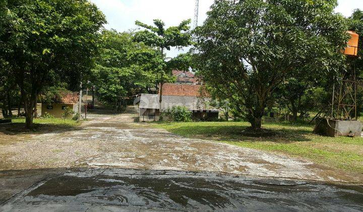 JUAL RUMAH + TANAH STRATEGIS LUAS 2,3HA DI RAYA PANDEGLANG, SERANG, BANTEN 14