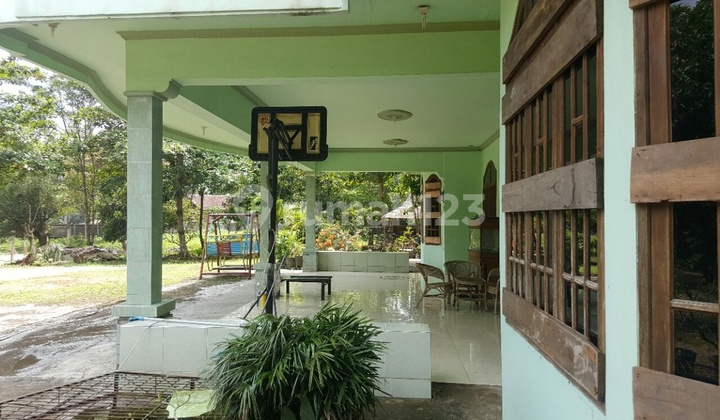 JUAL RUMAH + TANAH STRATEGIS LUAS 2,3HA DI RAYA PANDEGLANG, SERANG, BANTEN 15