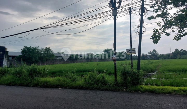 Premium Investment Land Raya Sarirogo Sidoarjo Near the City Premium Investment Land Raya Sarirogo Sidoarjo Near the City