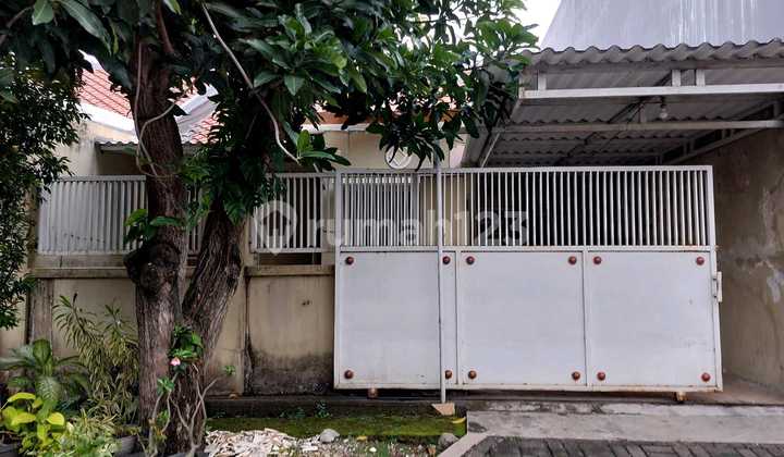 House for Sale Puri Surya Jaya Gedangan Sidoarjo Cheapest House for Sale Puri Surya Jaya Gedangan Sidoarjo Cheapest