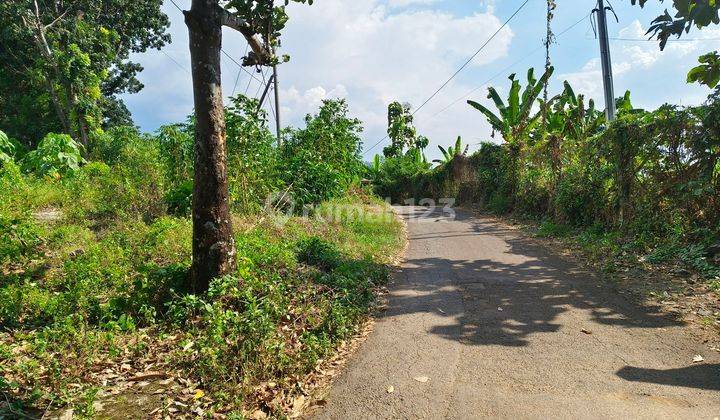 Tanah harga terjangkau untuk resort taman rekreasi healing peternakan perumahan di Mojokerto 2