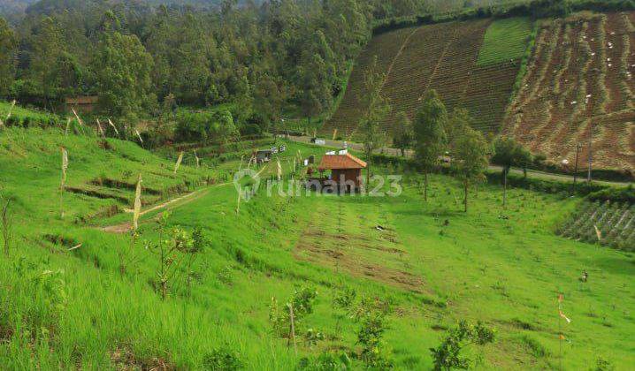 Kavling Villa Dilokasi Premium Dekat Dengan Lokasi Wisata Garut 2