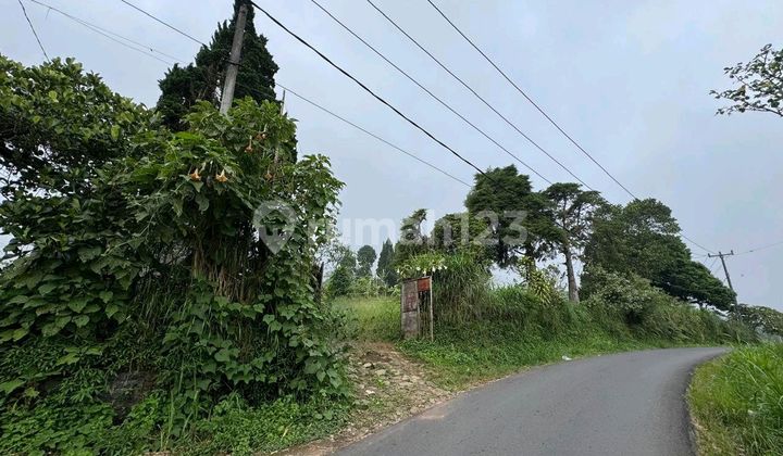 Jual Murah Tanah Di Bali Utara, Desa Munduk